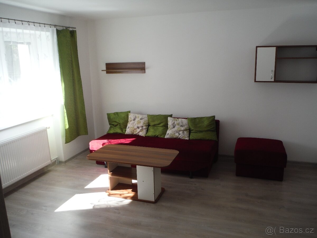 Pronajmu Byt 2+1 (3+1) - 2