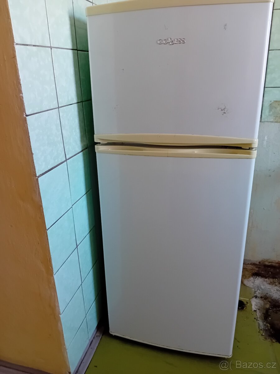 Lednička s mrazákem Goddess - 2