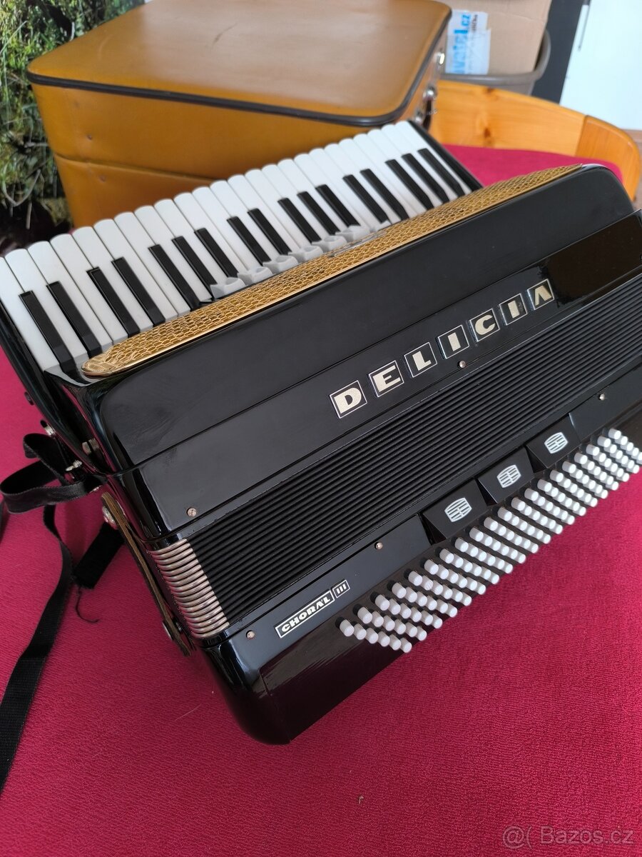 Akordeon Delicia - 2
