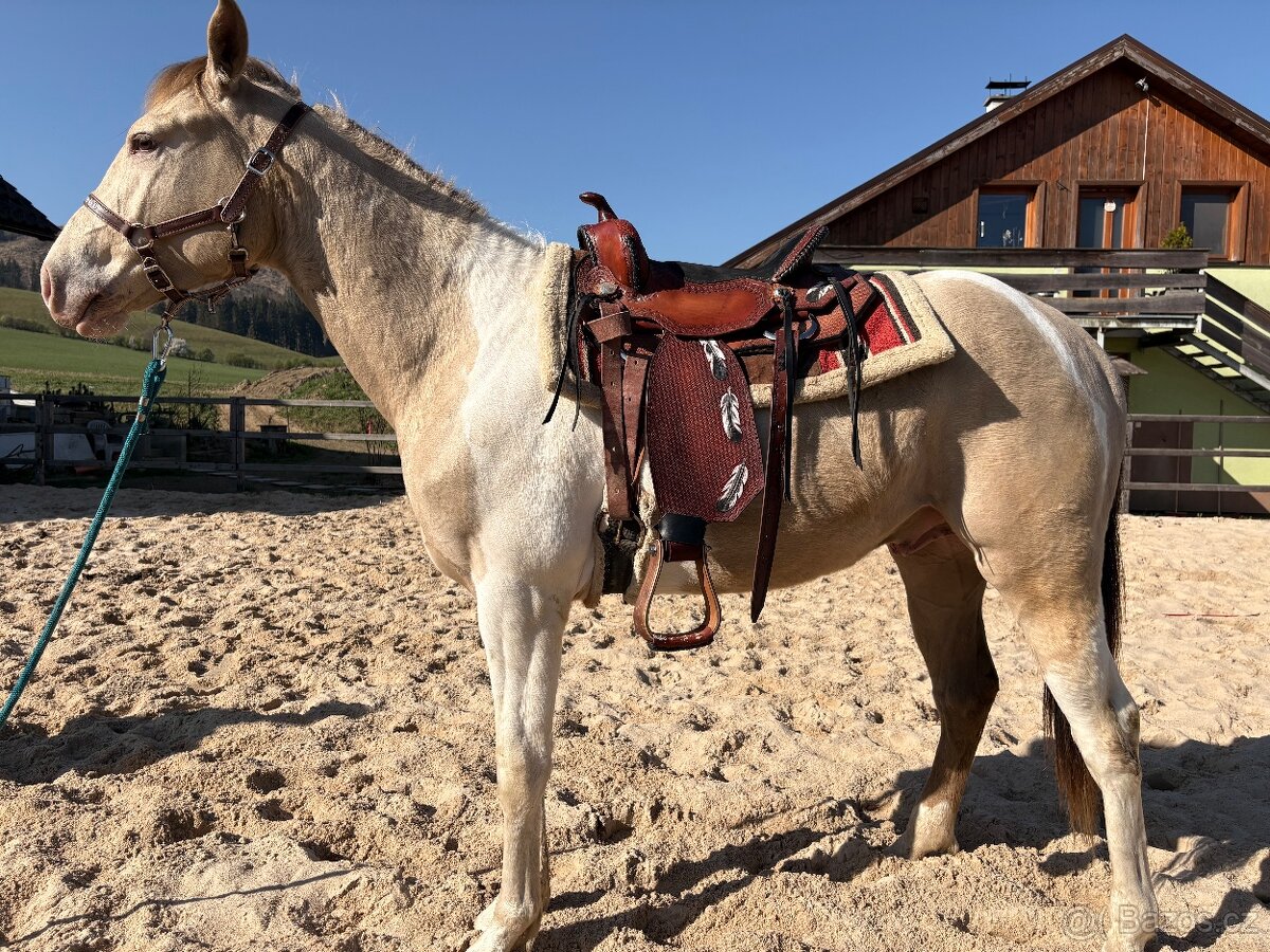 APH More Moonlight Chex - 2