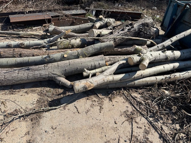 DŘEVO NA OTOP - osika, bříza, vrba, třešeň - 2