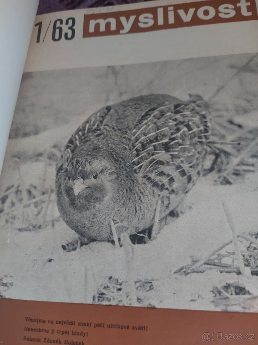 Svázané časopisy myslivost - 2