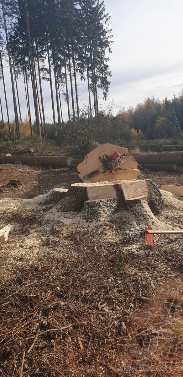 Rizikové kácení - 2