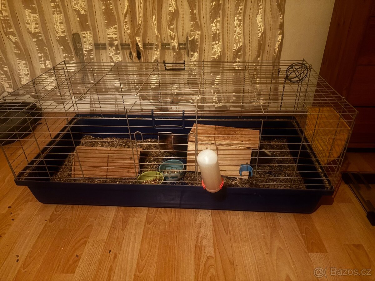 Daruji morčata + vybavení - 2