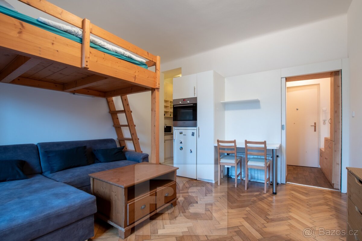 Pronájem bytu 1+kk 26 m², Praha - Holešovice, ev.č. N08519 - 2