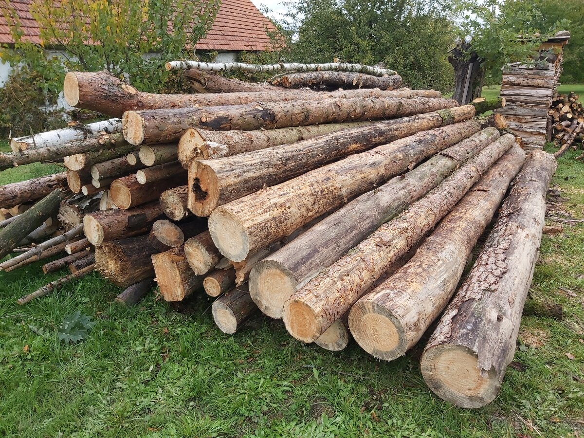 Palivové dřevo - 2