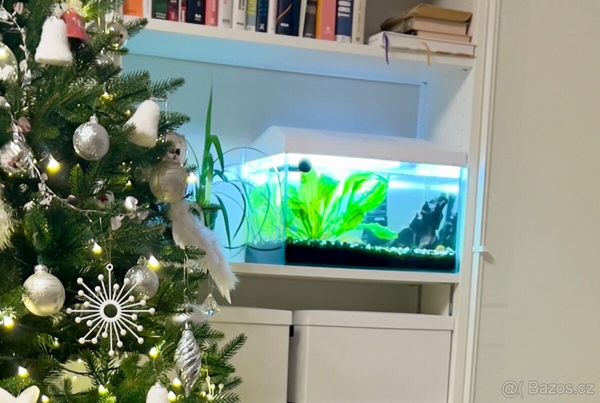 Kompletní akvárium - 2
