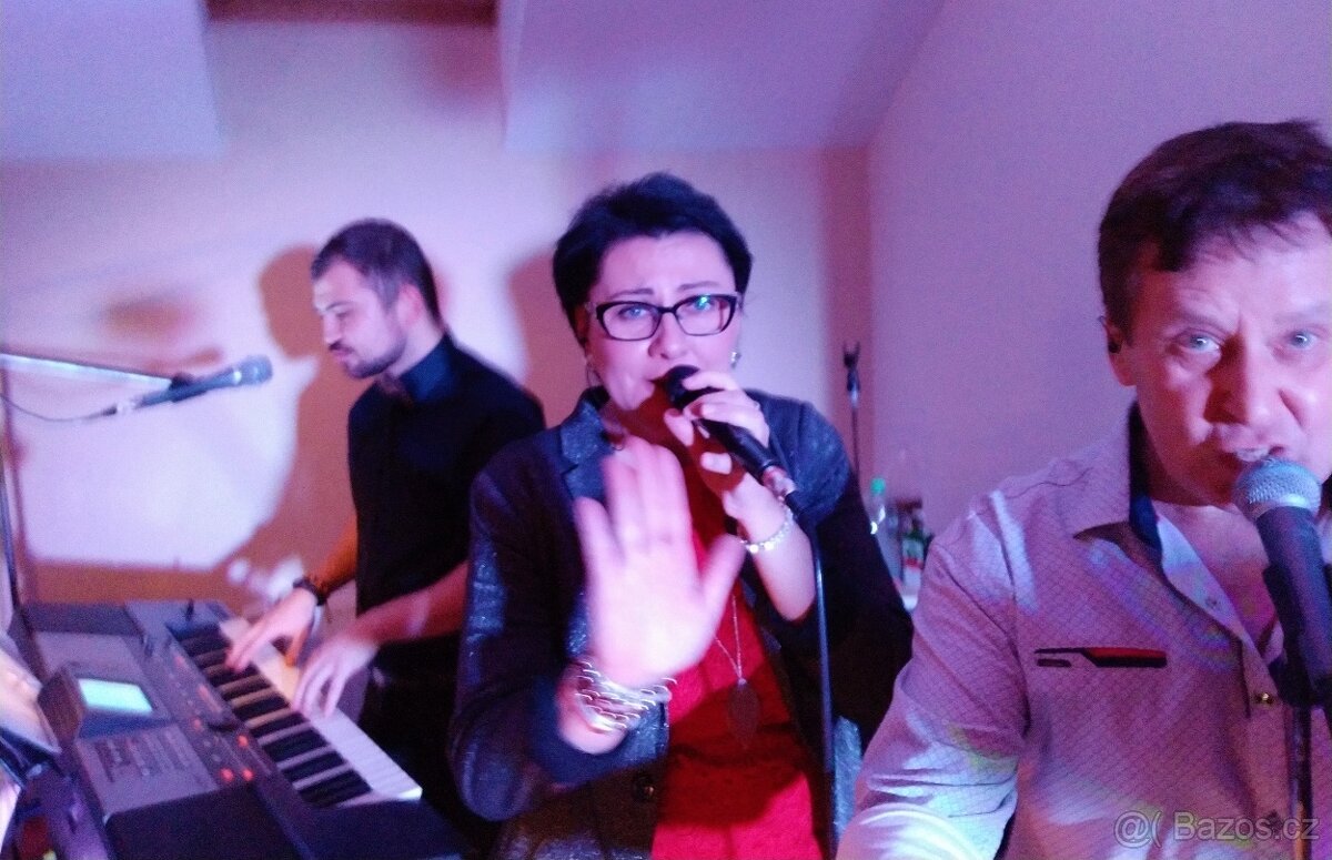 Živá hudba, plesy, svatby - 2