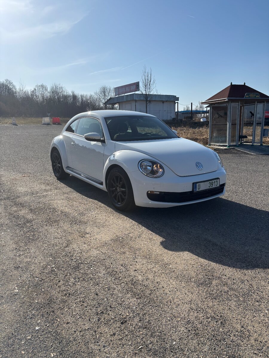 Vw beetle - 2