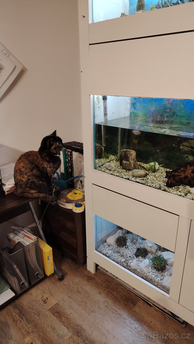 Psací stůl, kontejner a židle - 2