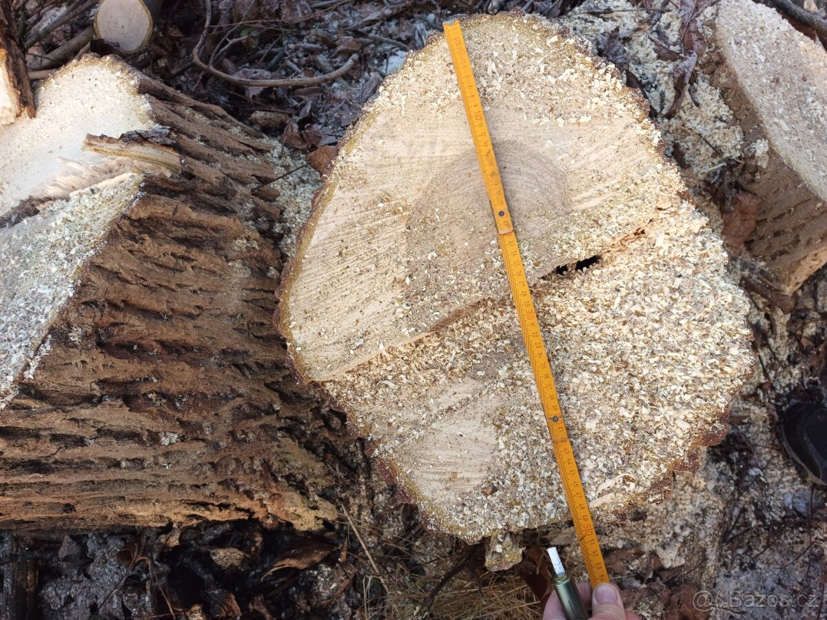 Ořechové dřevo - 2