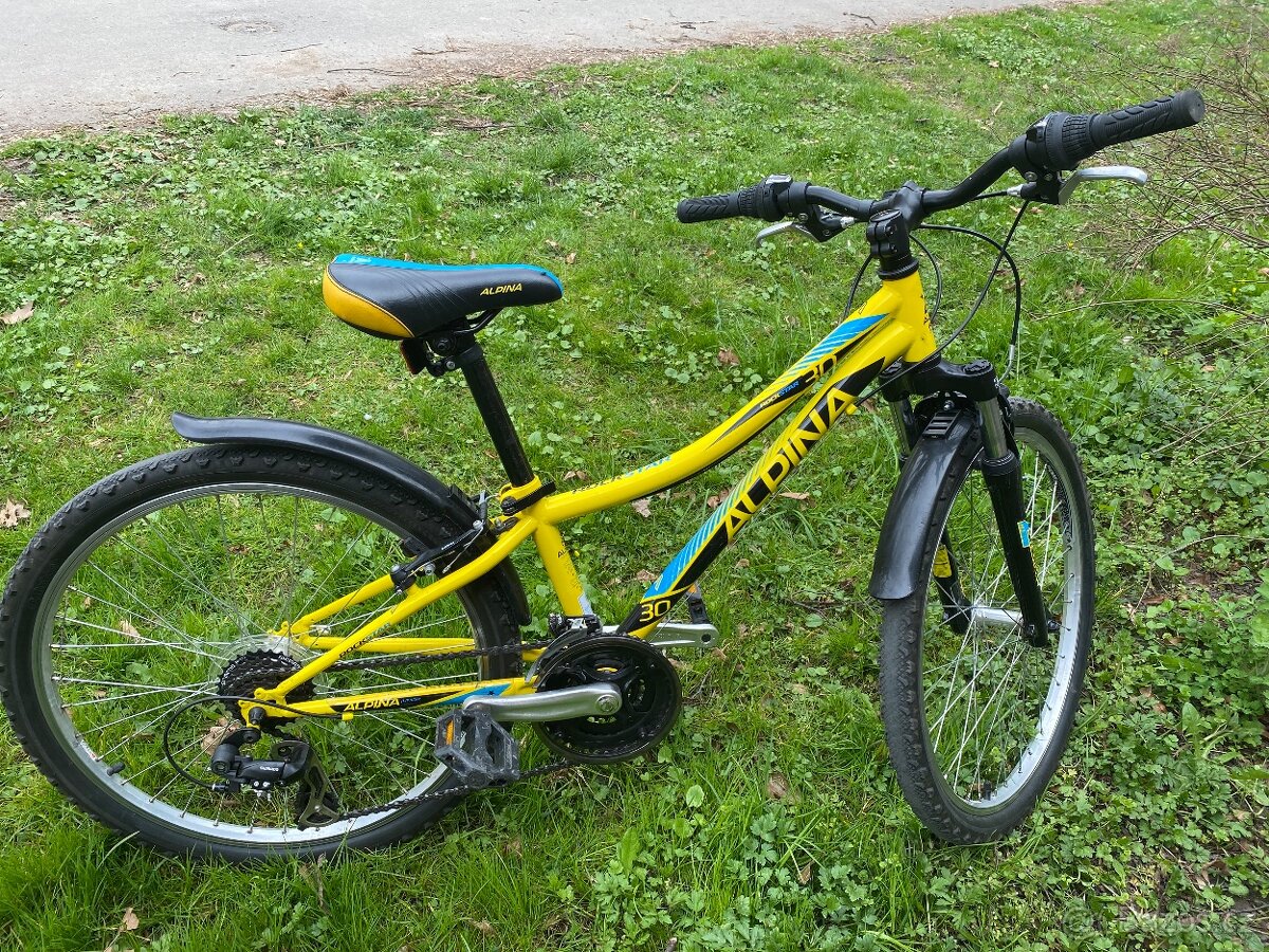 Chlapecké kolo Alpina 30 - 2