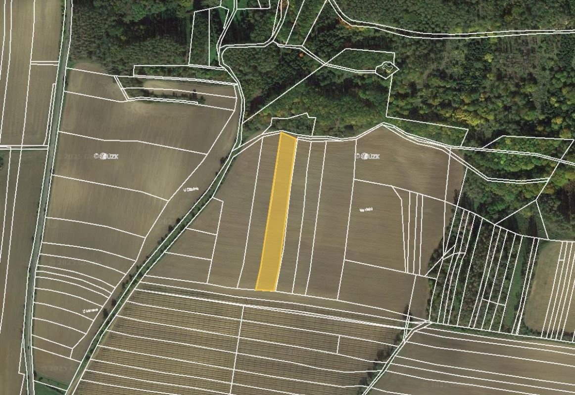 Prodej podílu 1/2 pole 5 018 m², Mutějovice - 2