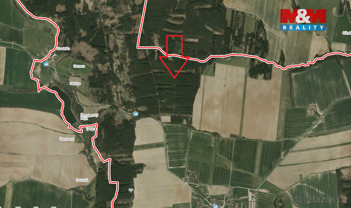 Prodej lesa, 4751 m², Bechyně - 2