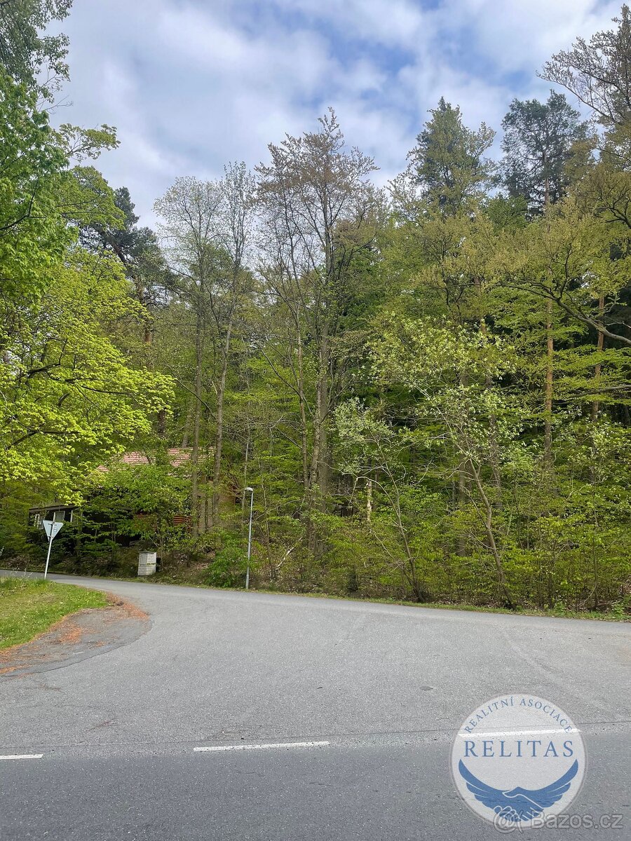 Prodej lesního pozemku 7 759 m² - 2