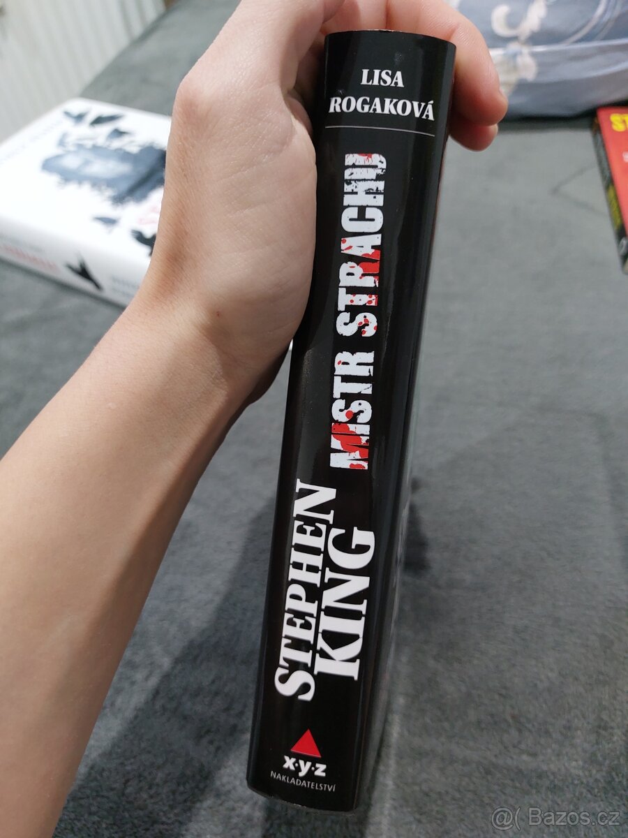 Stephen King - Mistr strachu - 2