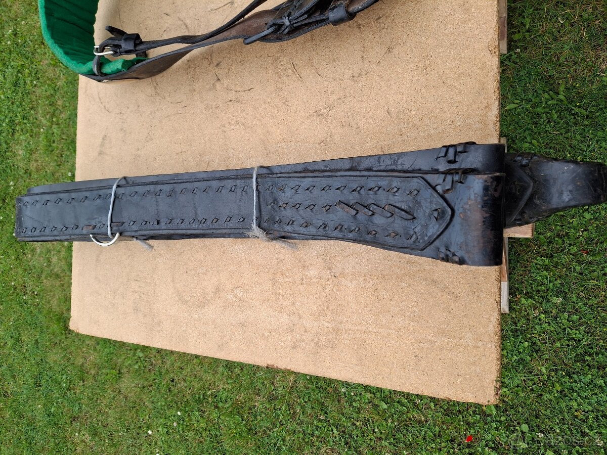 Postroje na koně - 2