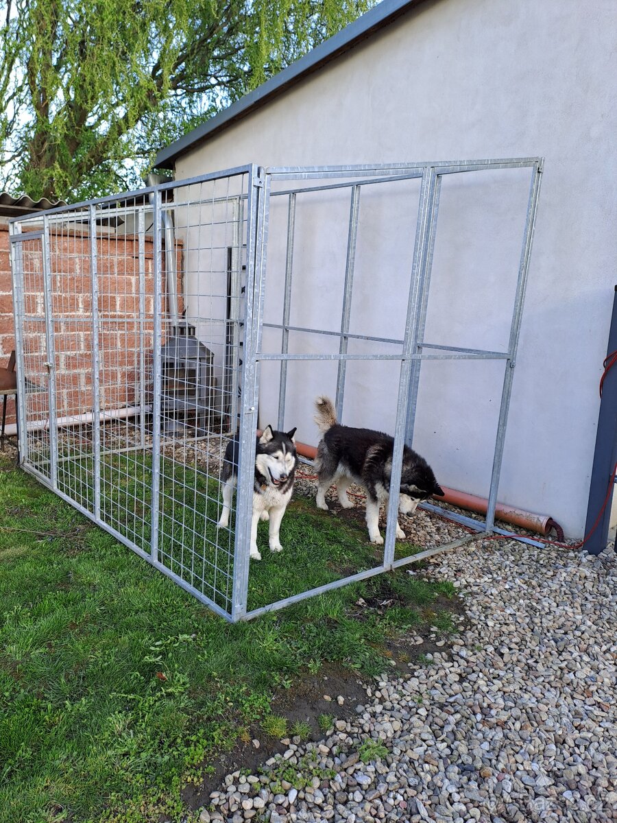 Pozinkovaný kotec pro psy - 2