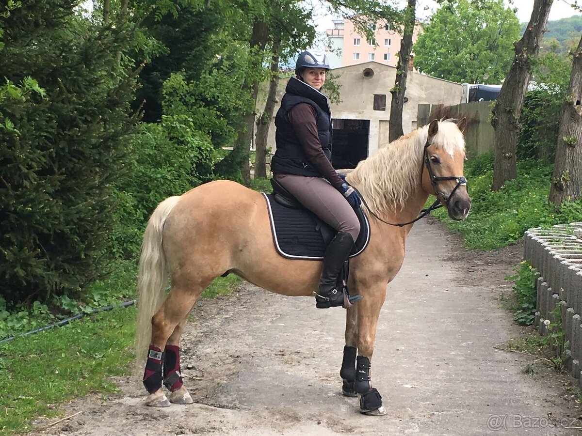 Hafling k pronájmu - 2