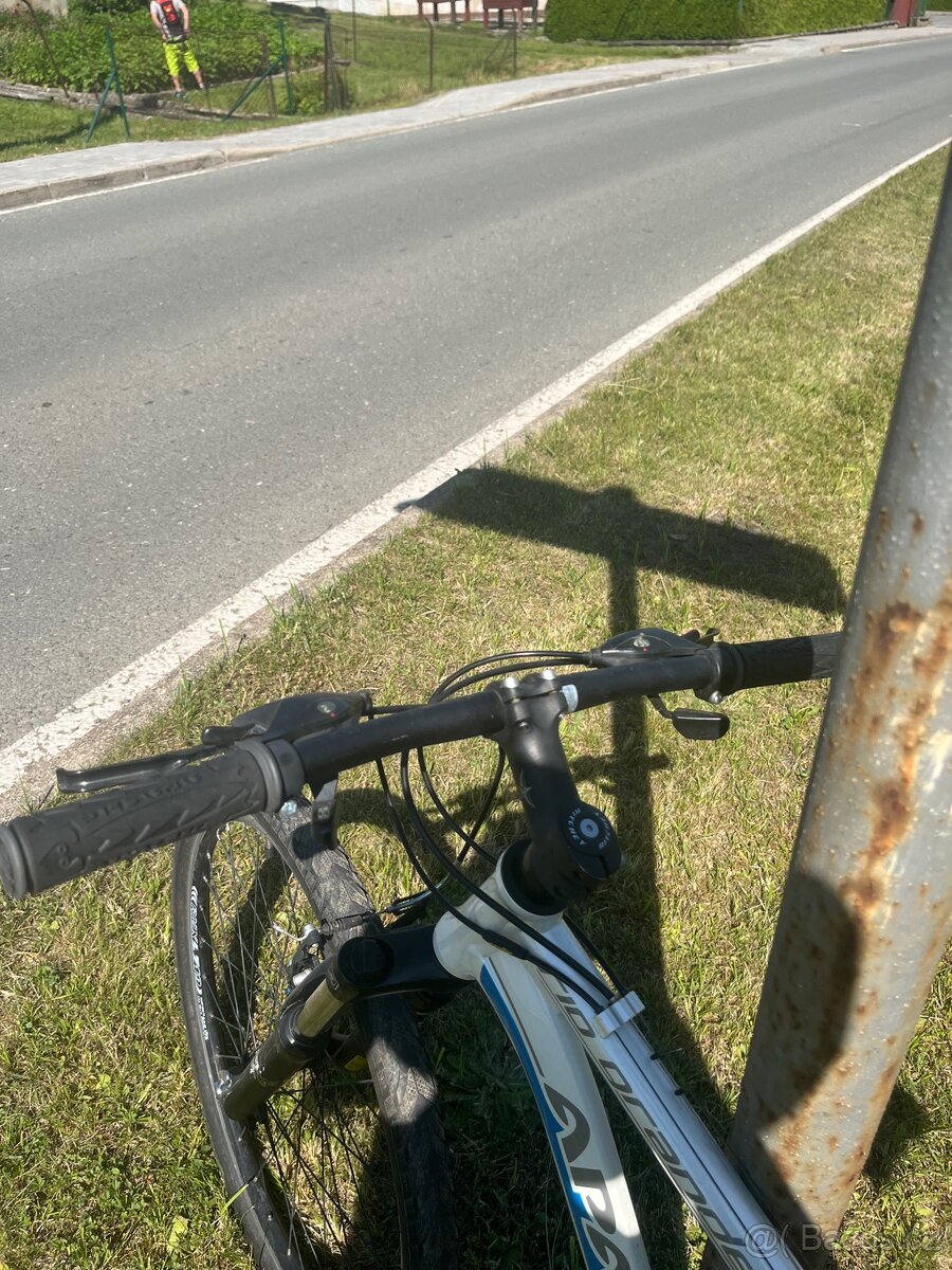 Alloy 6061 damske kolo - 2