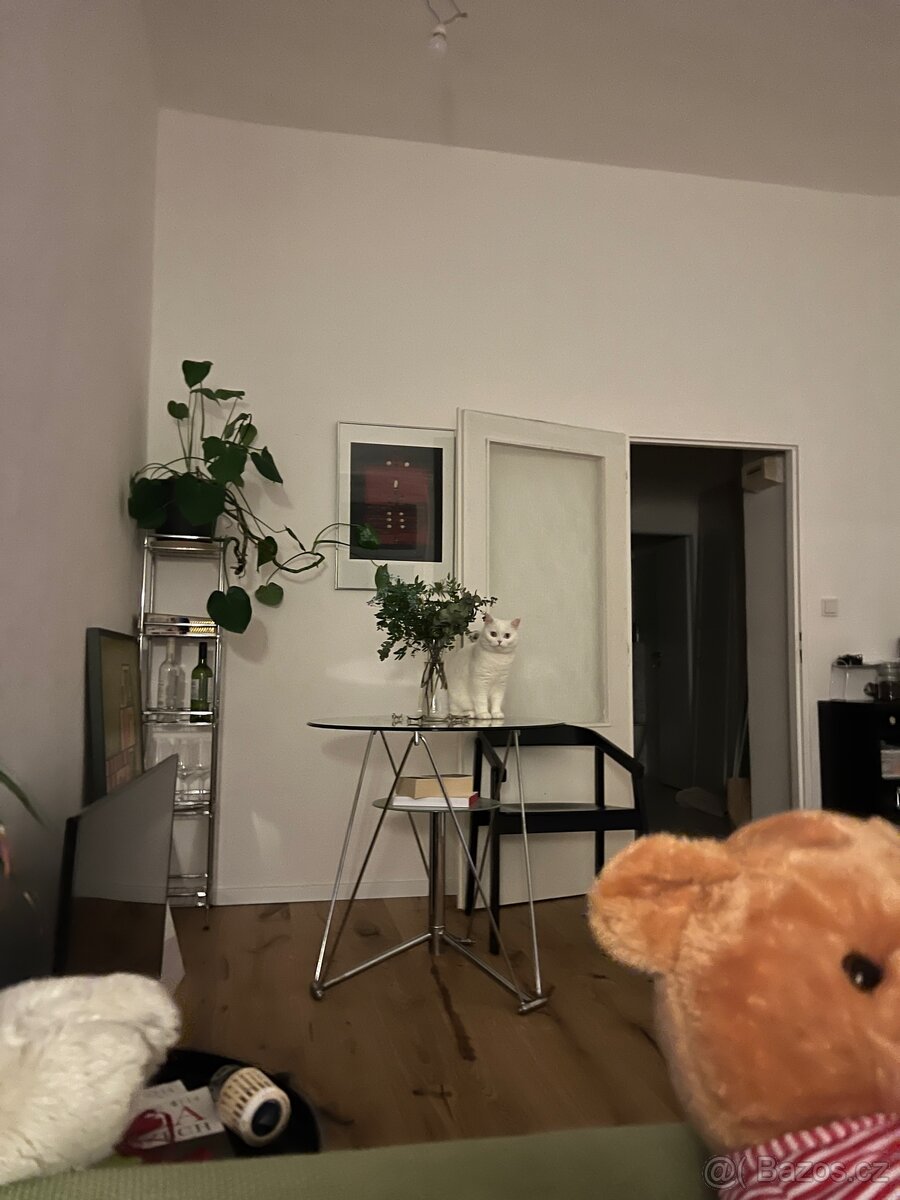 Skleněný stůl - 2