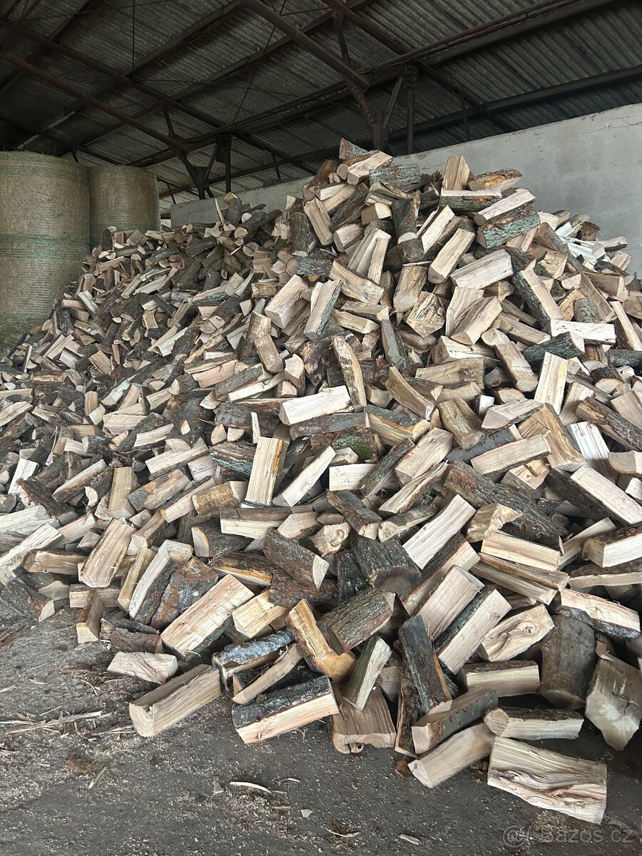 palivové dřevo - 2