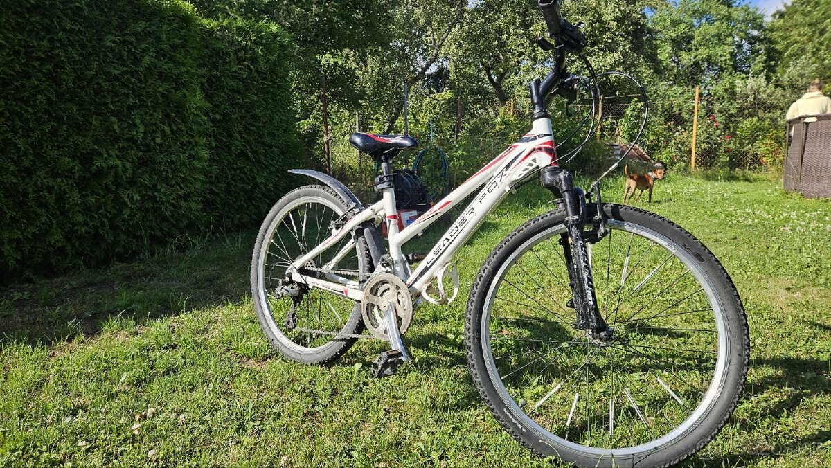 Divči kolo leader Fox 24 - 2