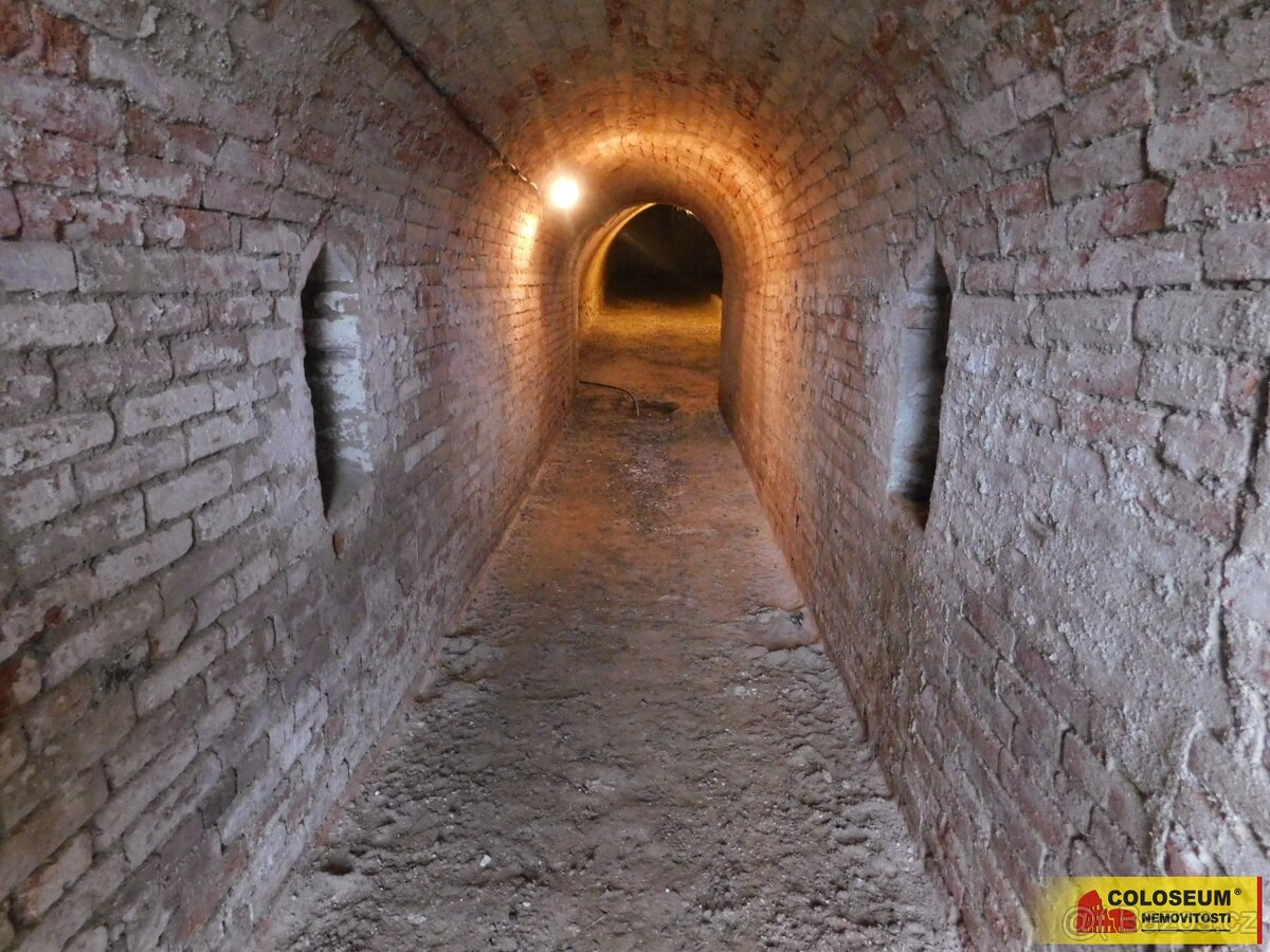 Miroslav, sklep 89 m2 - vinný sklep, ev.č. I4288Z007 - 2