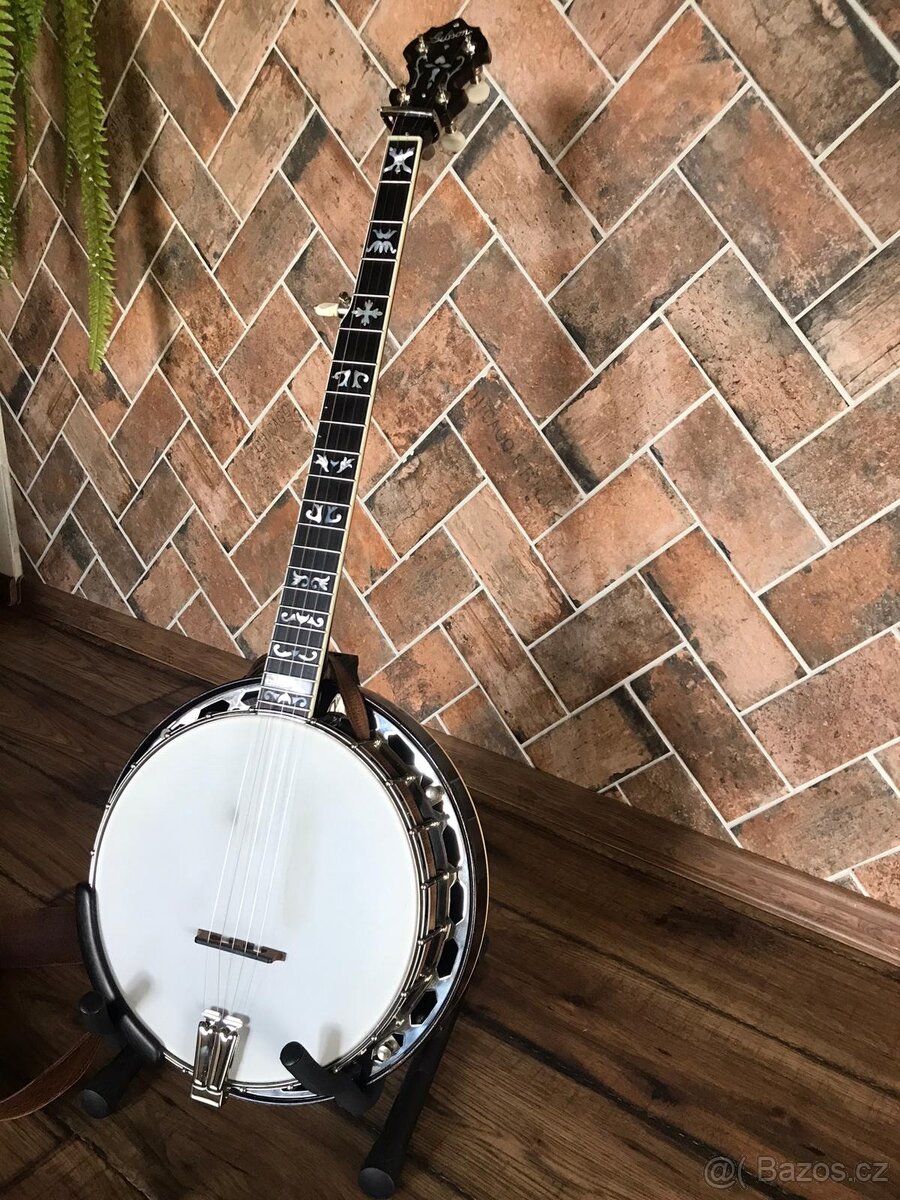 Banjo Gibson - 2