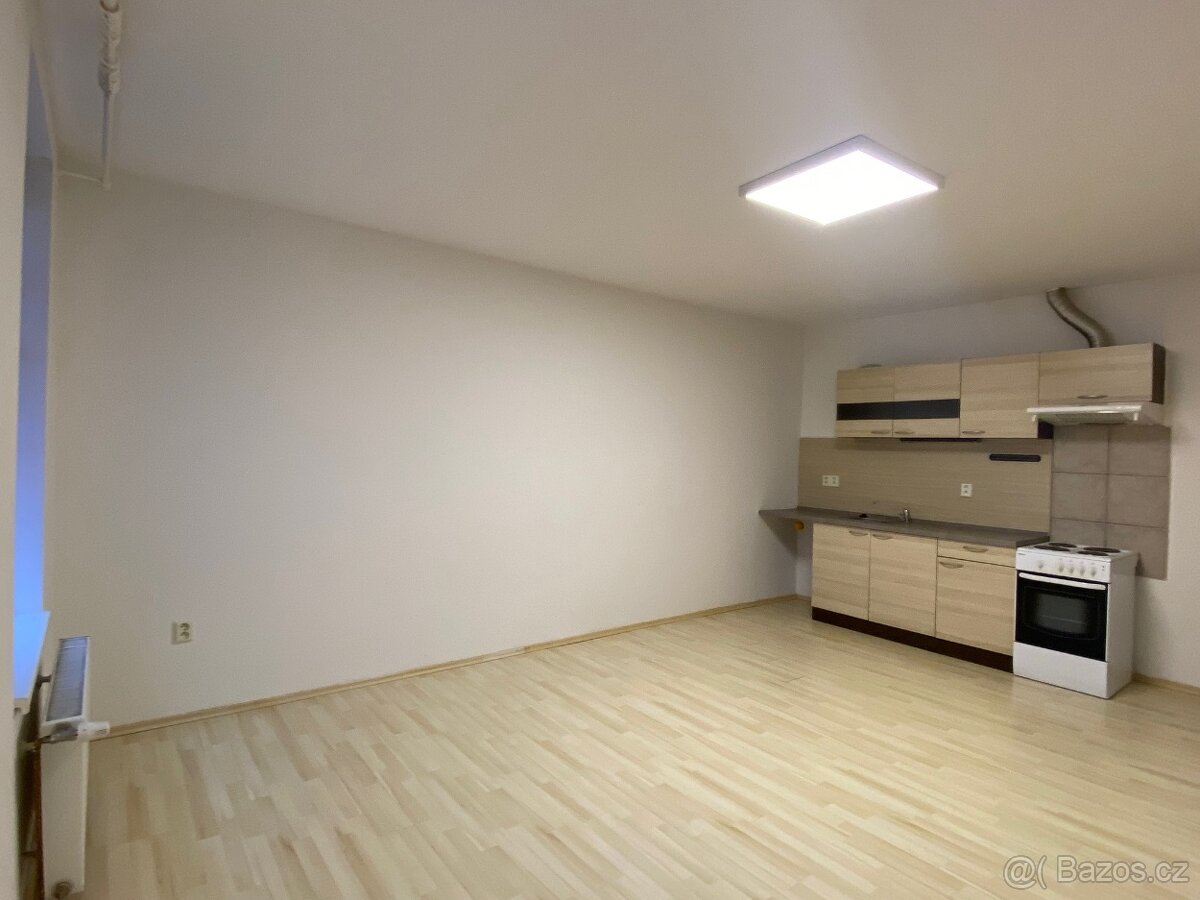 Pronájem velké garsonky v Nové Pace - 2