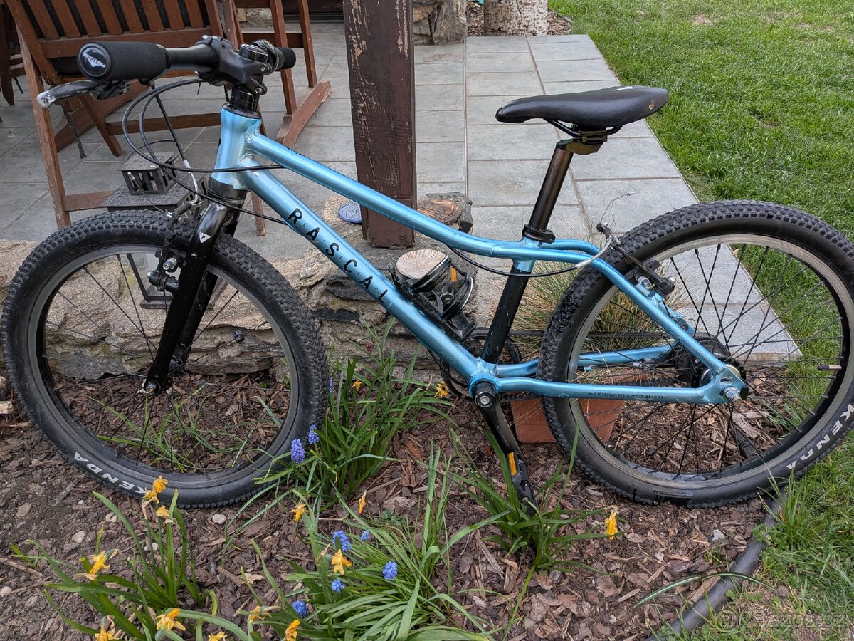 Lehké dětské kolo Rascal 20 - 2