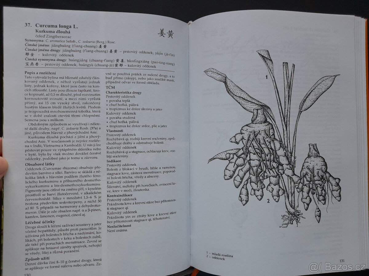 Tradiční čínská medicína - 2