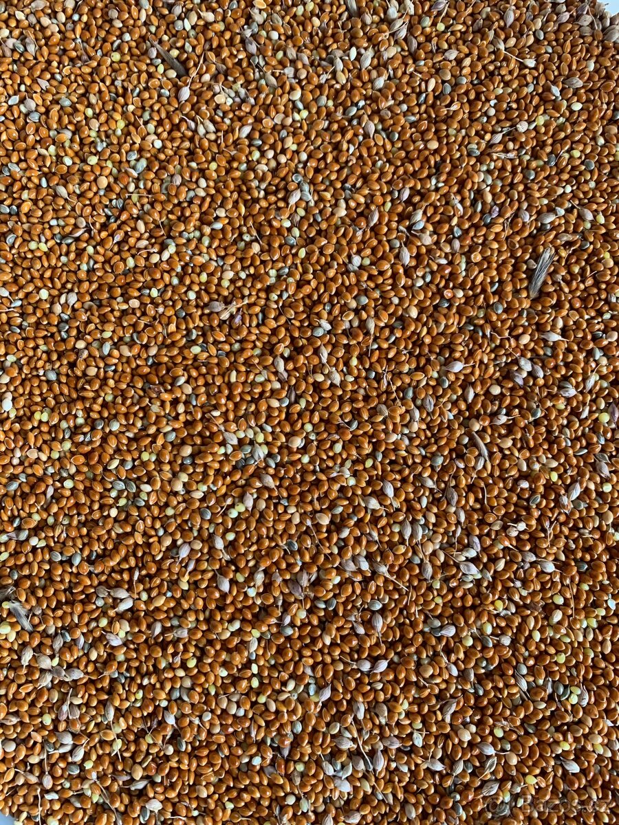 Krmeni pro papoušky vše čisté a suché. - 2