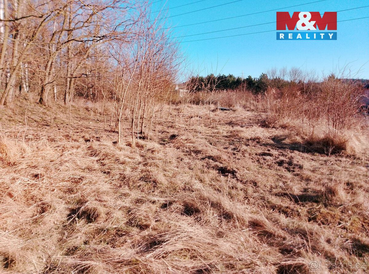 Prodej zahrady v Doksech; Doksy (Družec) - 2