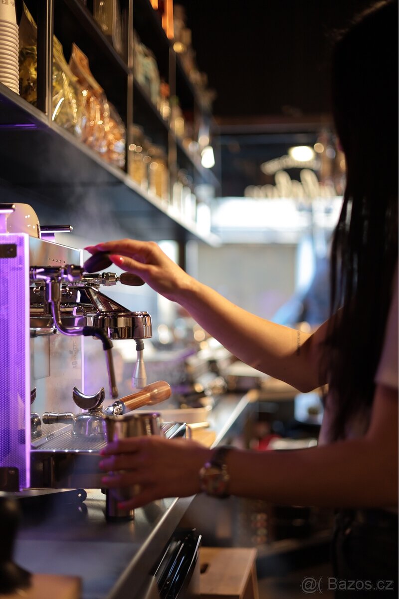 Kávovar Profi/Domácí Bezzera Matrix DE - italský - 2