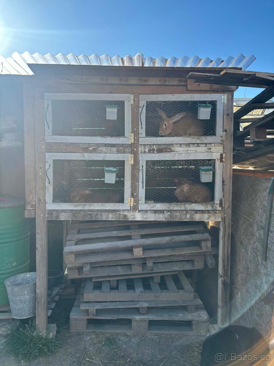 Králíkárna - 2