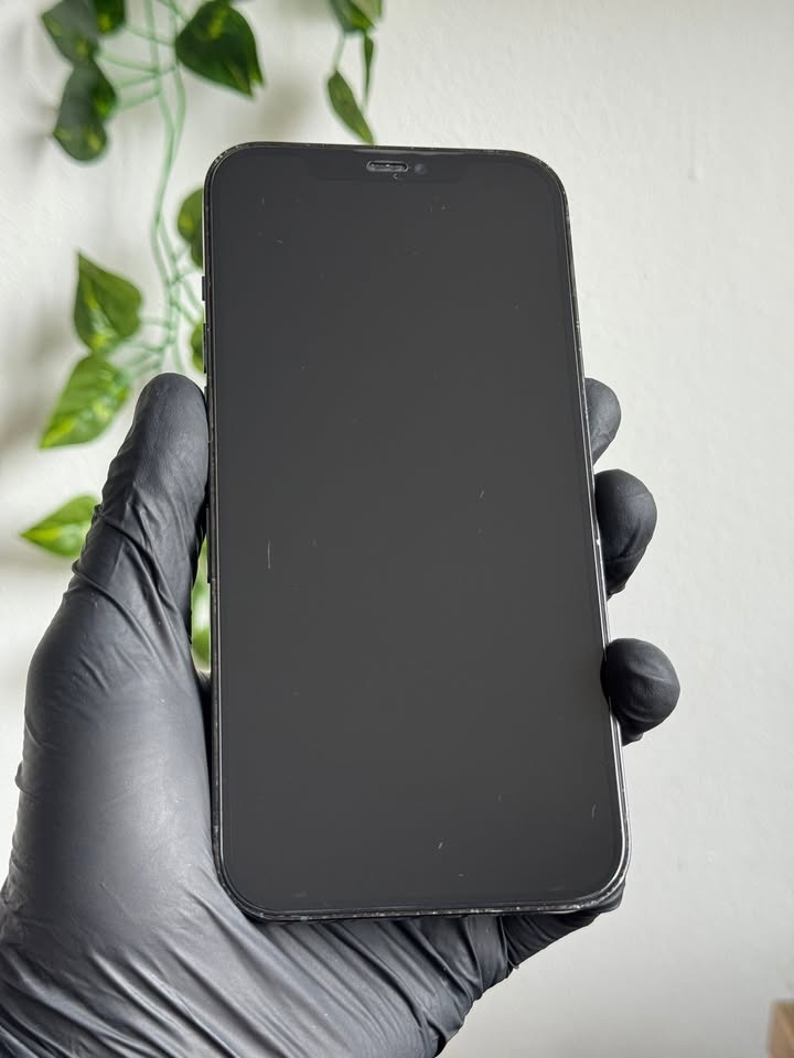iPhone 12 Pro Max 128GB modrý - 2