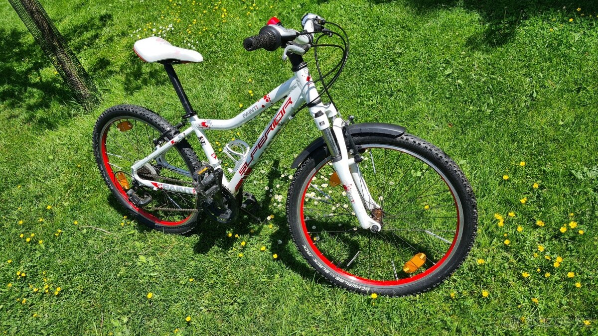 dětské kolo Superior 24" Paint - 2