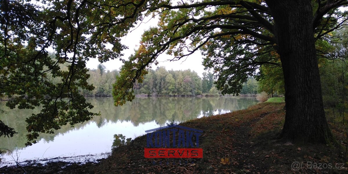 Jedinečná investiční příležitost - lesní pozemek u rybníků, - 2