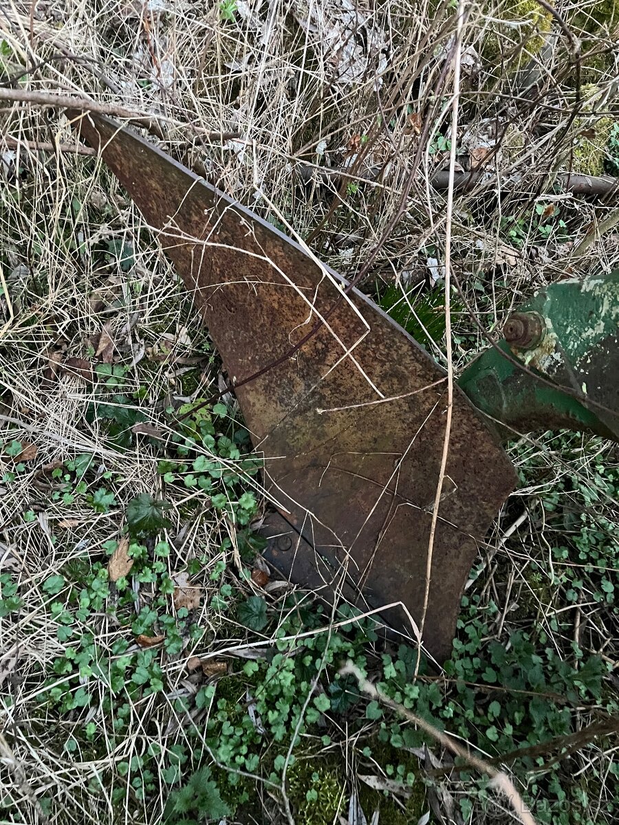 Pluh dvouradličný - 2