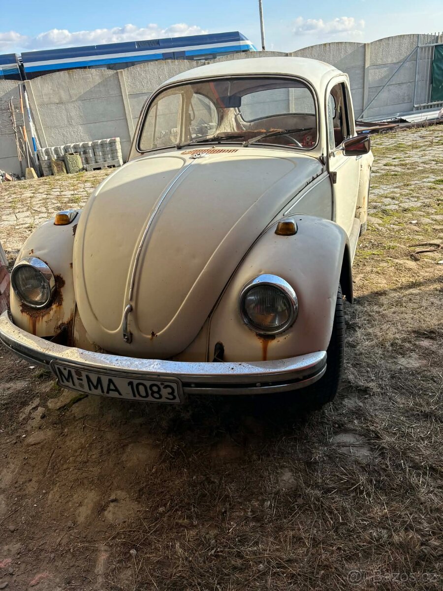 VW Brouk 1969 - 2