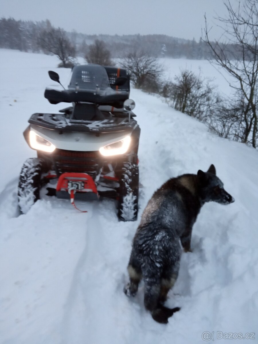SEGWAY SNARLER 600 GL - 2