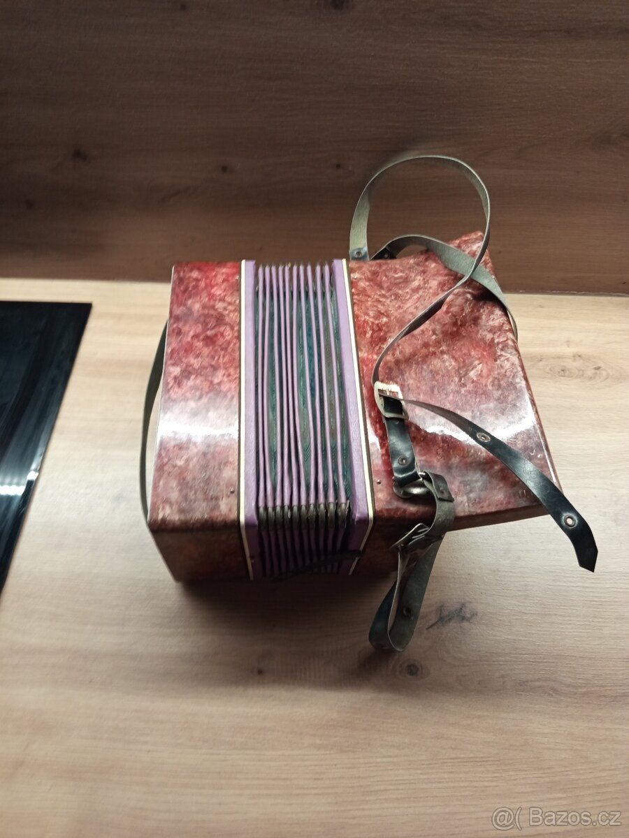 Dětská harmonika - 2