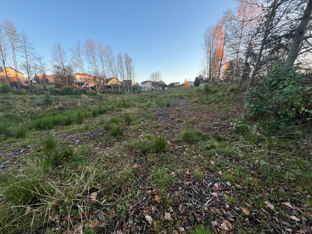 Prodej, pozemek 4200m2 - 2