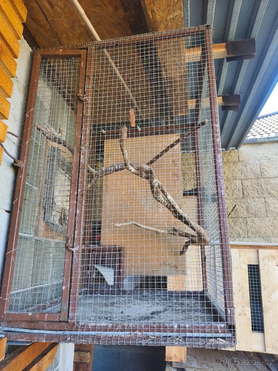 Voliera,kletka - 2