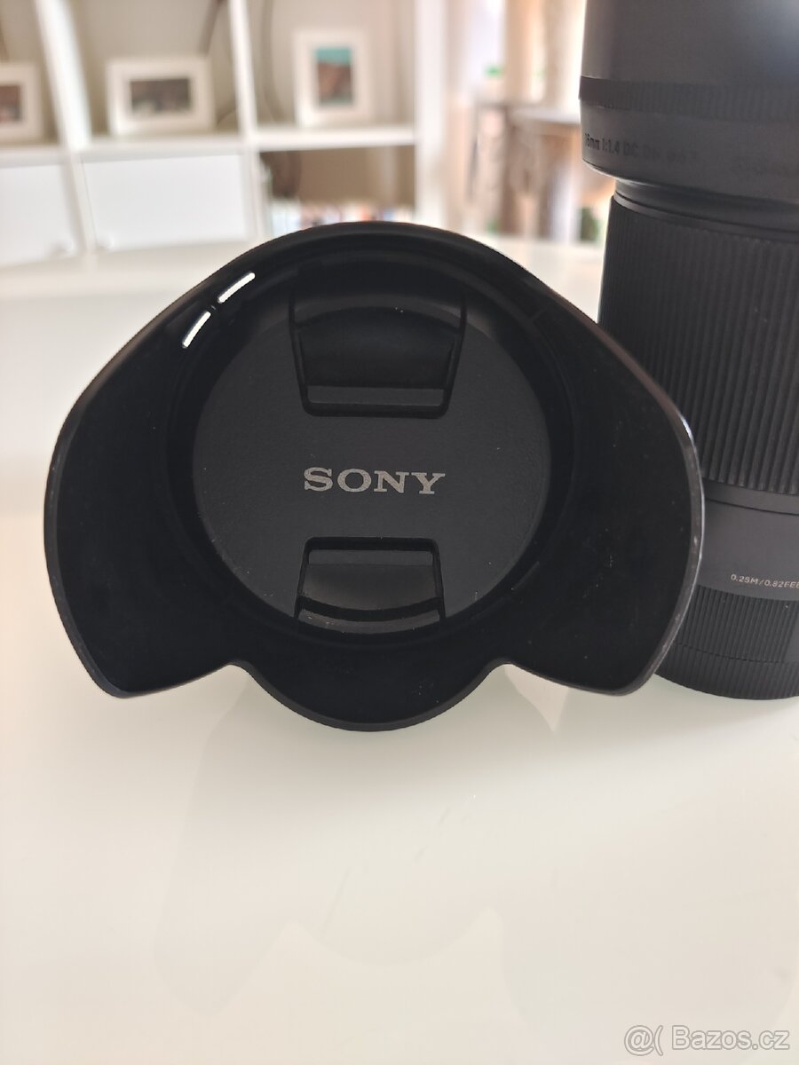 Sony 18-105mm f4 - 2
