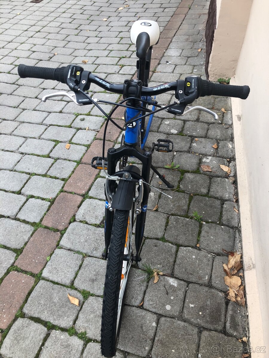 Author Matrix 24" - 2