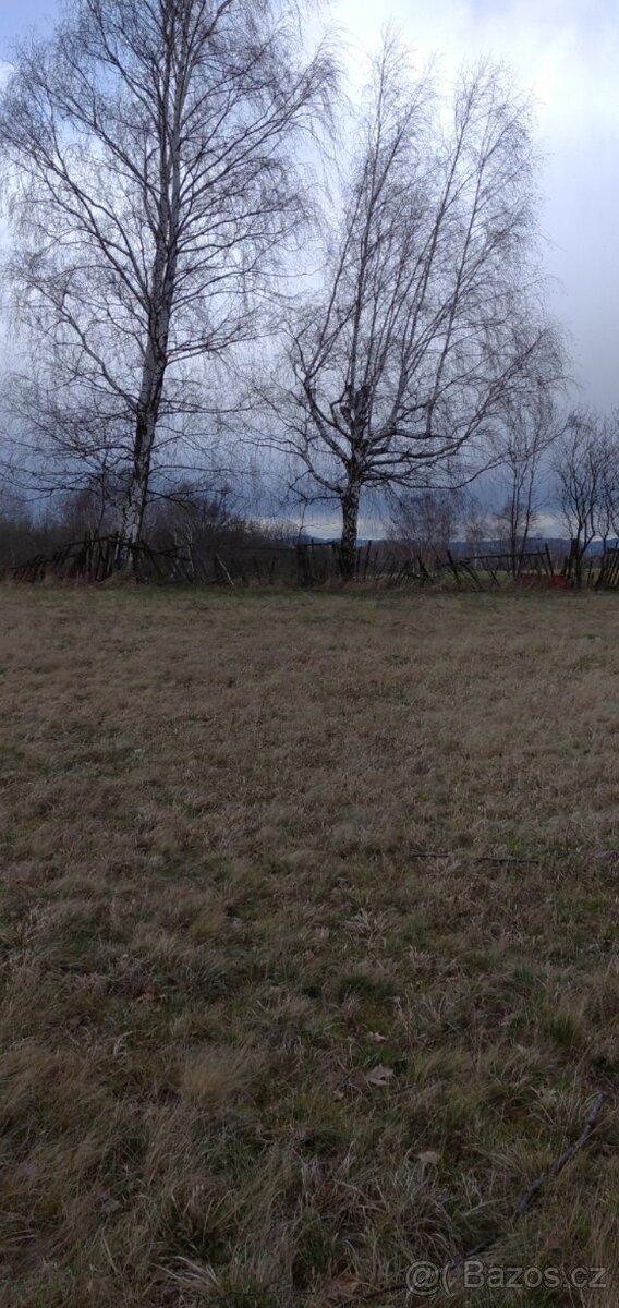 Tráva, seno, pastva, pole, zahrada.Umístění ovcí nebo koz - 2