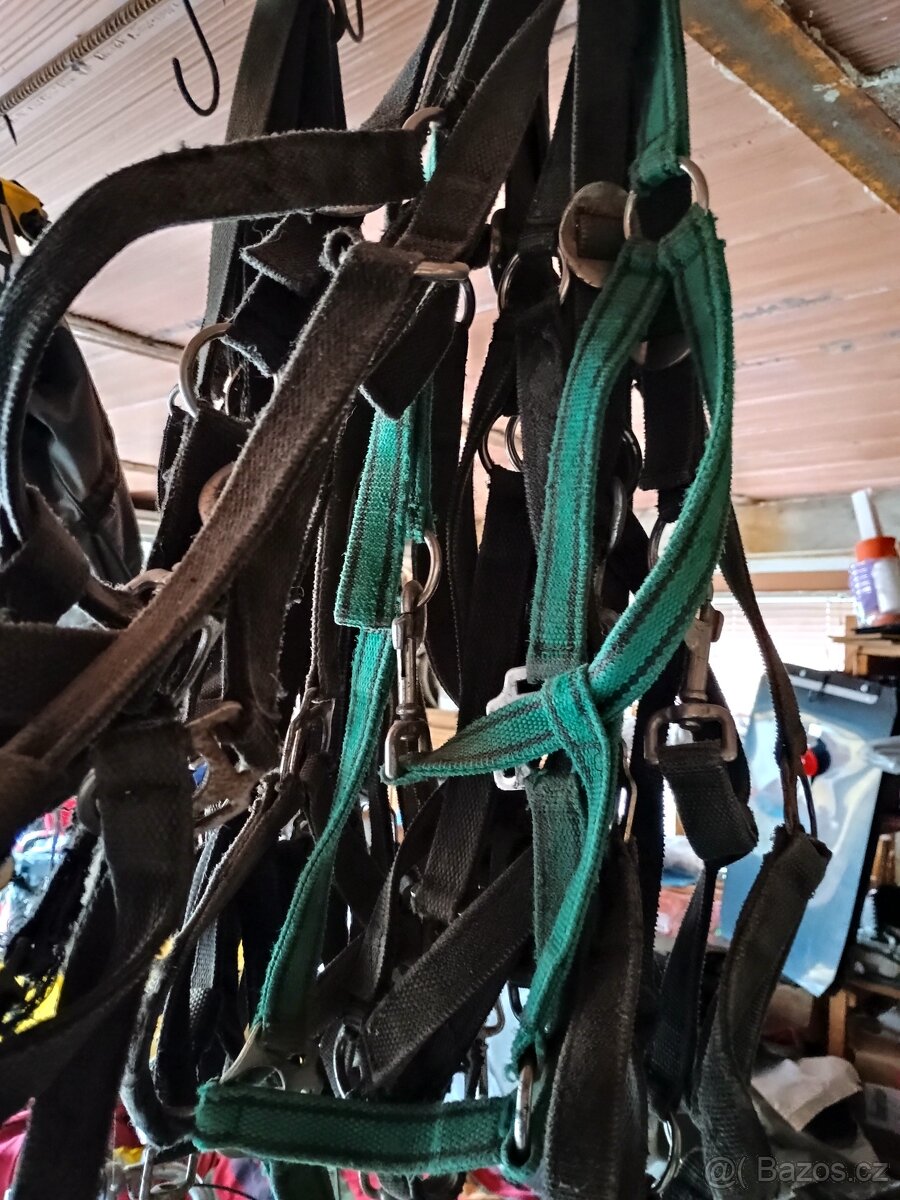 Ohlavka, postroj, sedla, uvazky - 2