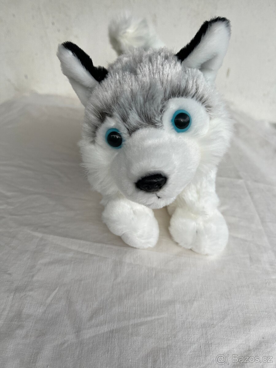 Plyšový pejsek husky ležící - 2